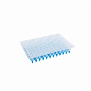 Porvair Sciences Adhesive Seal q Optic - Sterile Sheet SF22080SS