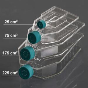 Wuxi Nest 175 cm2 Cell Culture Flask, Vent Cap, TC, Sterile, 5/pk, 40/cs 709003