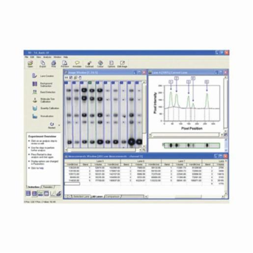 Daihan Software DNA Analysis TotalLab Quant DH.WGD00100 | DKSH ...