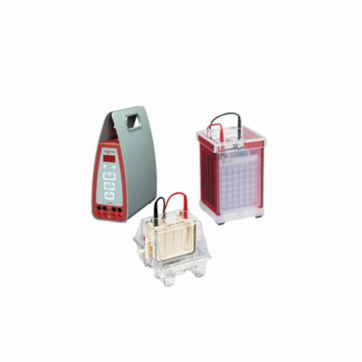Biochrom Hoefer Hoefer Mini Transfer Tank Combination Package 326223 | DKSH Philippines ...
