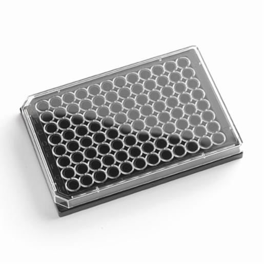 Porvair Sciences 96 Well Black glass bottom assay plate With Lid  Sterile 324002